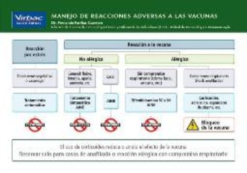 clínica, veterinaria, campaña, vacunación, económica, barata, descuento, esterilización, limpieza, dental, visitas, domicilio, madrid, centro, castración, reacciones vacunales clínica, veterinaria, campaña, vacunación, económica, barata, descuento, esterilización, limpieza, dental, visitas, domicilio, madrid, centro, castración, reacciones vacunales