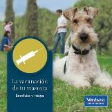 clínica, veterinaria, campaña, vacunación, económica, barata, descuento, esterilización, limpieza, dental, visitas, domicilio, madrid, centro, castración, proteccion