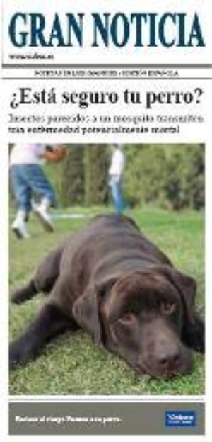 clínica, veterinaria, campaña, vacunación, económica, barata, descuento, esterilización, limpieza, dental, visitas, domicilio, madrid, centro, castración, vacunar si clínica, veterinaria, campaña, vacunación, económica, barata, descuento, esterilización, limpieza, dental, visitas, domicilio, madrid, centro, castración, vacunar si