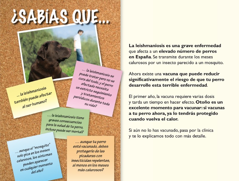 clínica, veterinaria, campaña, vacunación, económica, barata, descuento, esterilización, limpieza, dental, visitas, domicilio, madrid, centro, castración, resumen